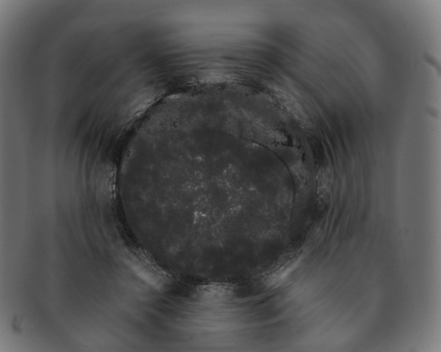 X0000091240356200709061545
