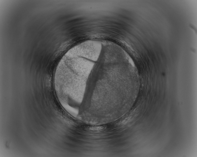 X0000091240357200709061545