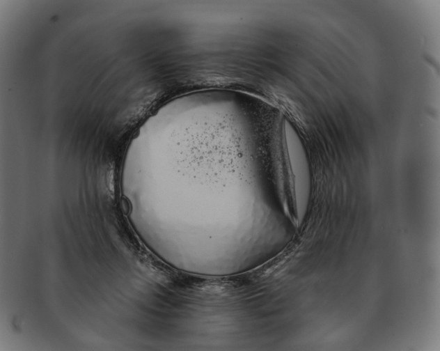 X0000091240358200709061545