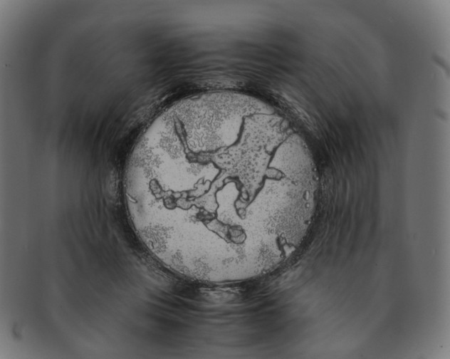 X0000091240359200709061545