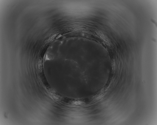 X0000091240360200709061545