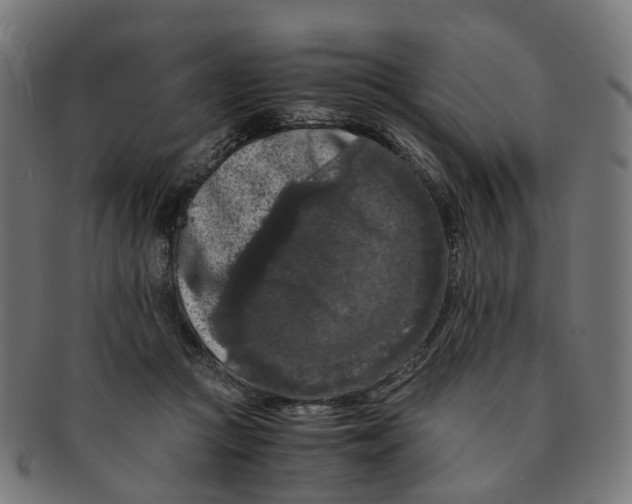 X0000091240361200709061545