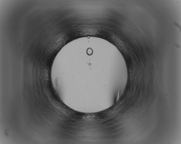 X0000091240362200709061545