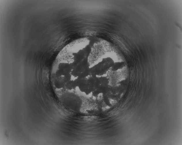 X0000091240363200709061545