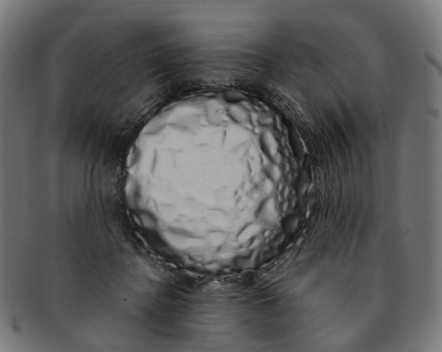 X0000091240364200709061545
