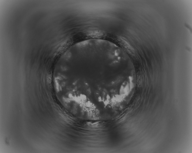 X0000091240365200709061545