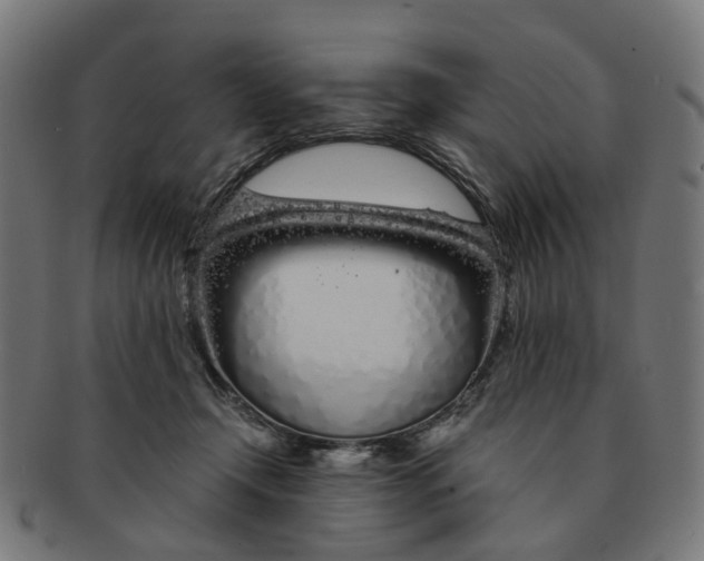 X0000091240366200709061545