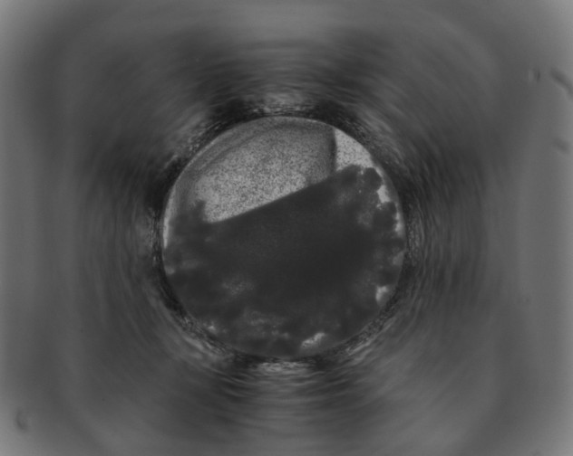 X0000091240367200709061545