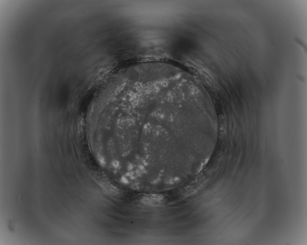 X0000091240369200709061545