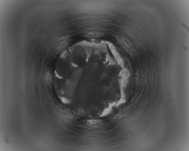 X0000091240371200709061545