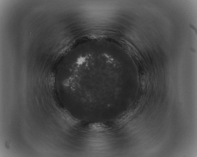 X0000091240372200709061545