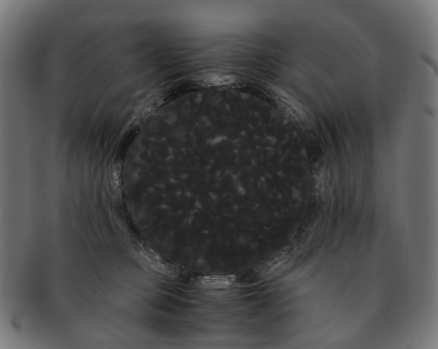 X0000091240373200709061545