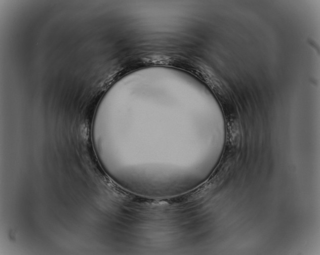 X0000091240374200709061545