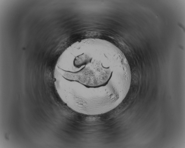 X0000091240375200709061545