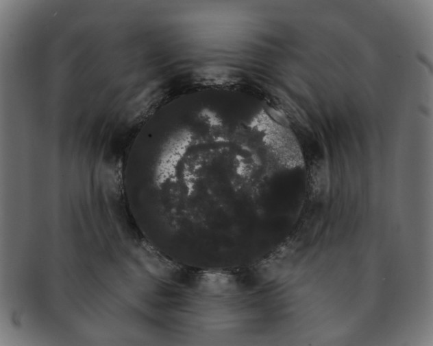 X0000091240376200709061545