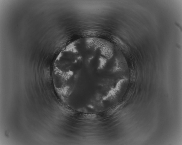 X0000091240377200709061545