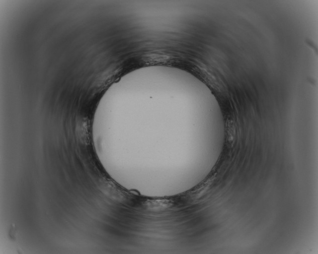 X0000091240378200709061545