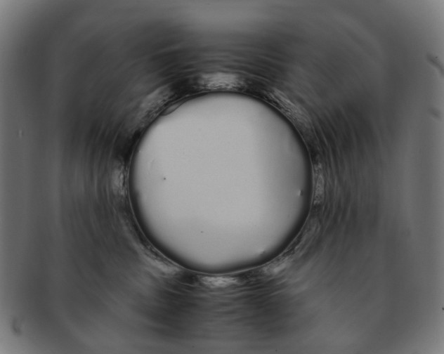 X0000091240379200709061545