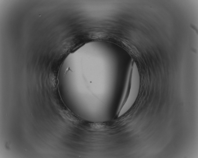 X0000091240380200709061545
