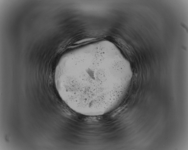 X0000091240381200709061545