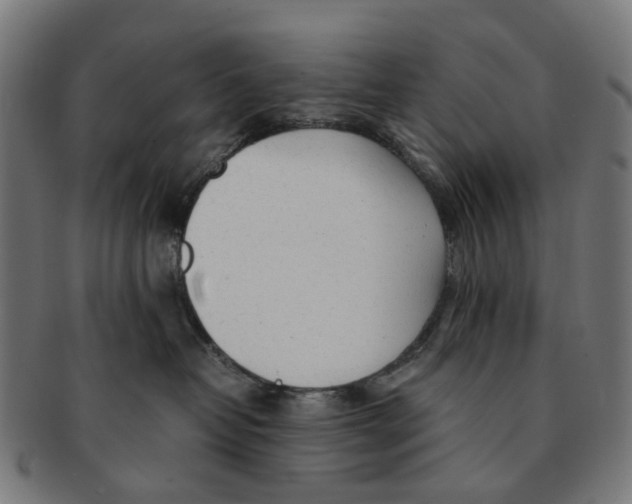 X0000091240382200709061545