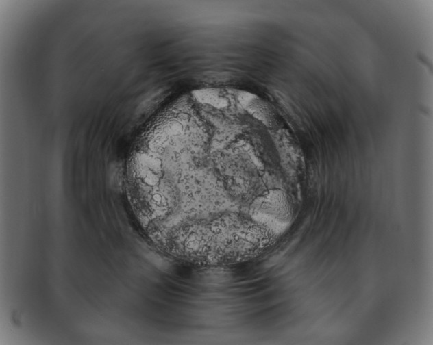 X0000091240383200709061545