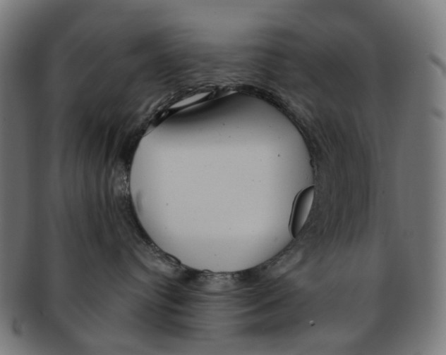 X0000091240384200709061545
