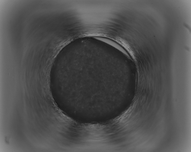 X0000091240385200709061544