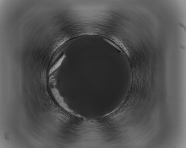 X0000091240386200709061544