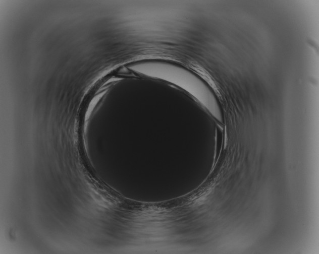 X0000091240387200709061544
