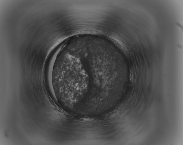 X0000091240388200709061544