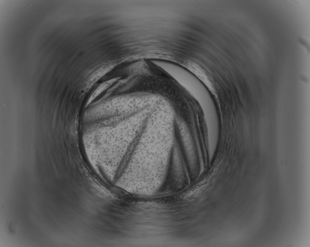 X0000091240389200709061544