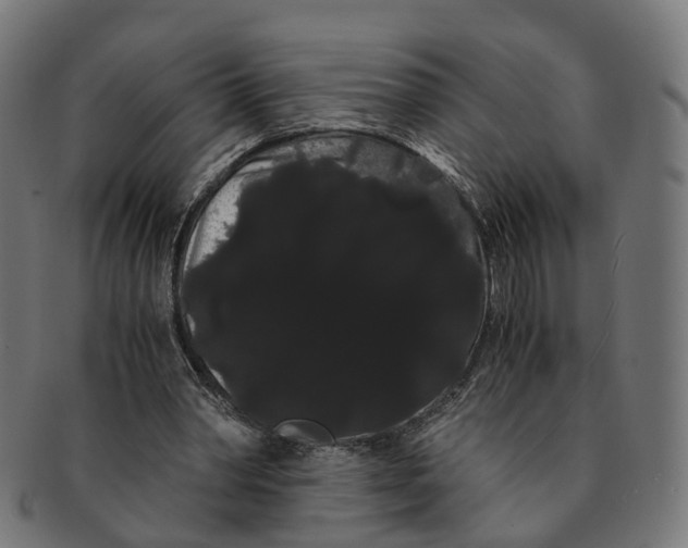 X0000091240390200709061544
