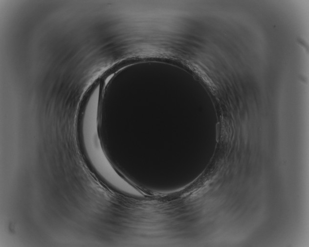 X0000091240391200709061544
