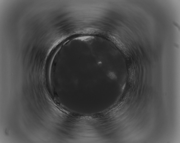 X0000091240392200709061544