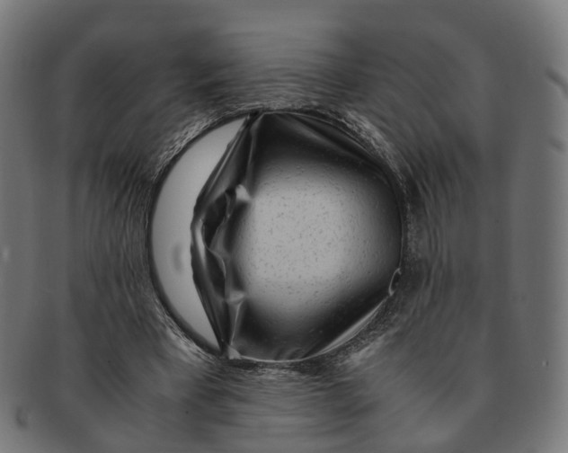 X0000091240393200709061544