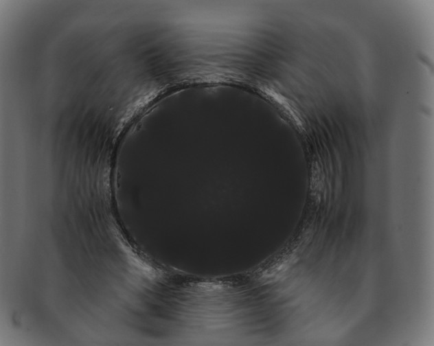 X0000091240394200709061544