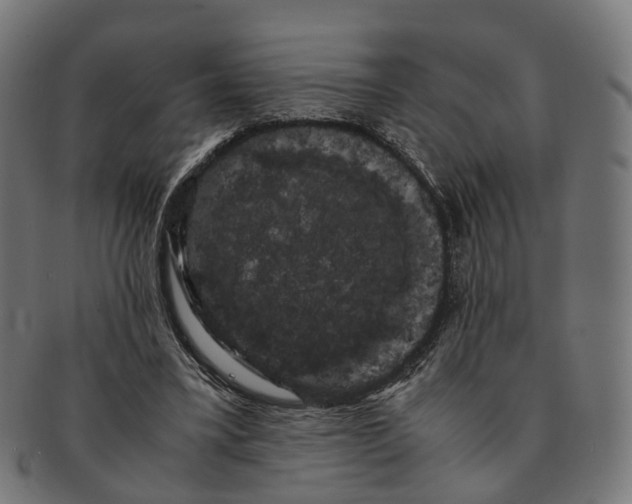 X0000091240395200709061544