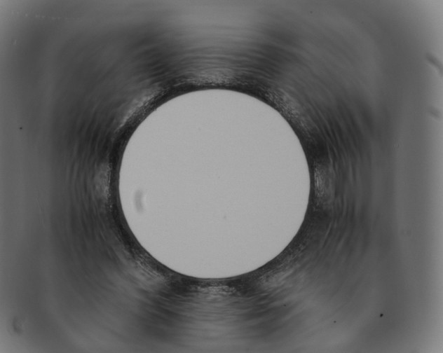 X0000091240396200709061544