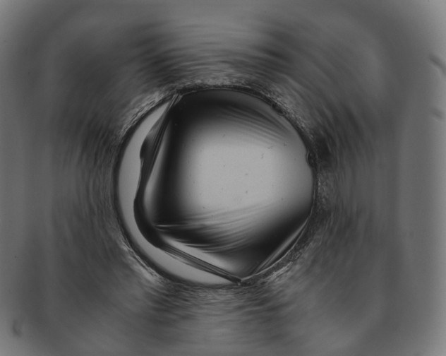 X0000091240397200709061544