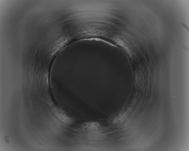 X0000091240398200709061544