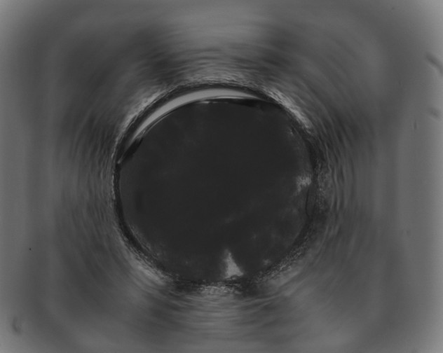 X0000091240399200709061544