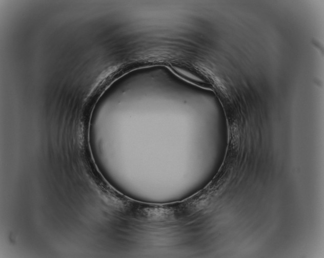 X0000091240400200709061544