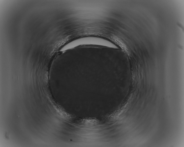 X0000091240401200709061544