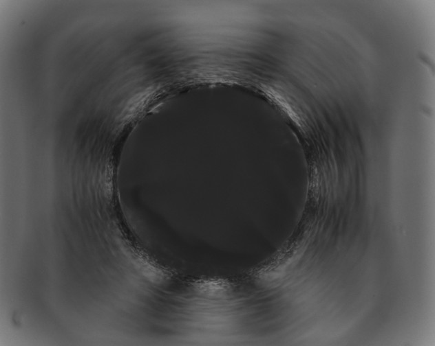 X0000091240402200709061544