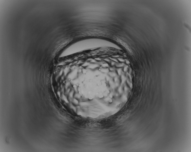 X0000091240403200709061544