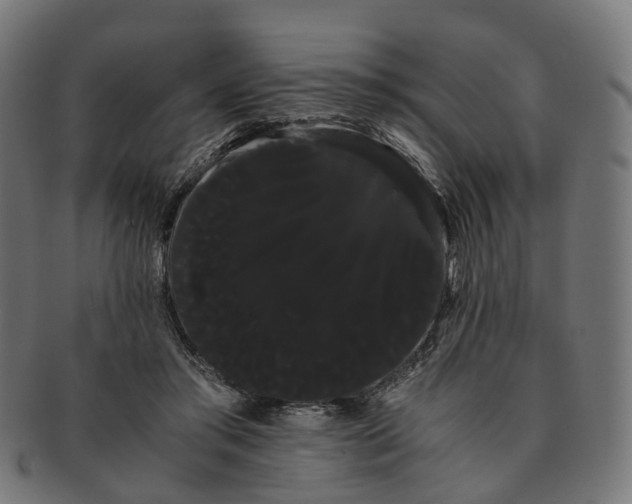 X0000091240405200709061544