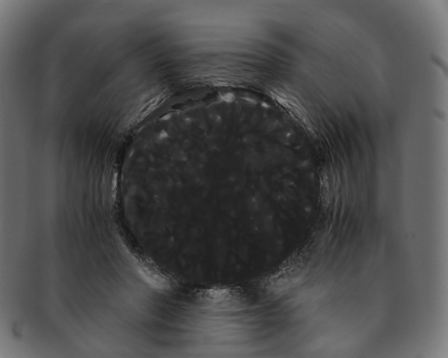 X0000091240406200709061544