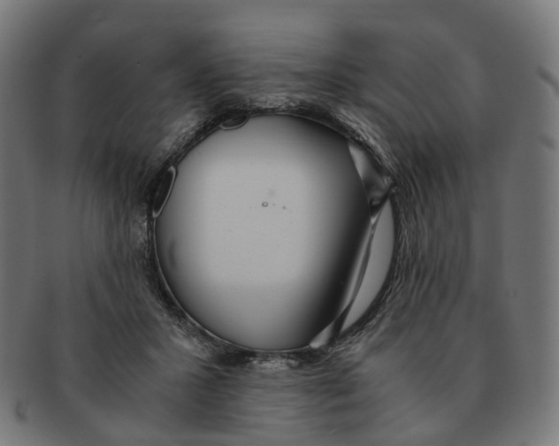 X0000091240407200709061544