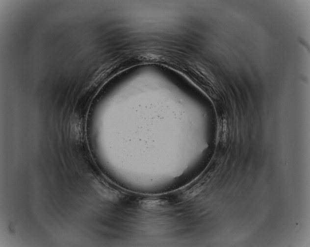 X0000091240408200709061544